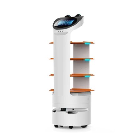 Food Delivery Robot