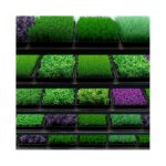 Indoor Farming Hydroponic Equipment
