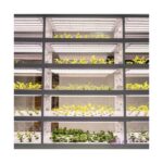 Indoor Farming Hydroponic Equipment