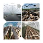 Snail Farming Greenhouse